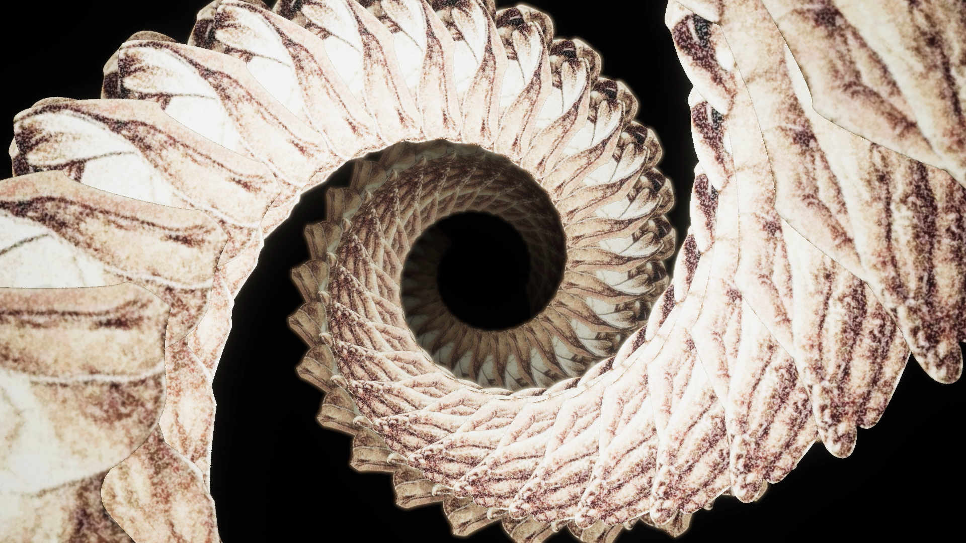 spiral of praying hands flying towards camera